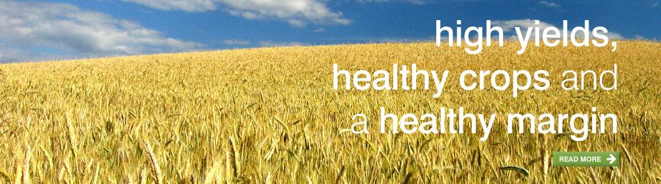 High yields, healthy crops, and a healthy margin